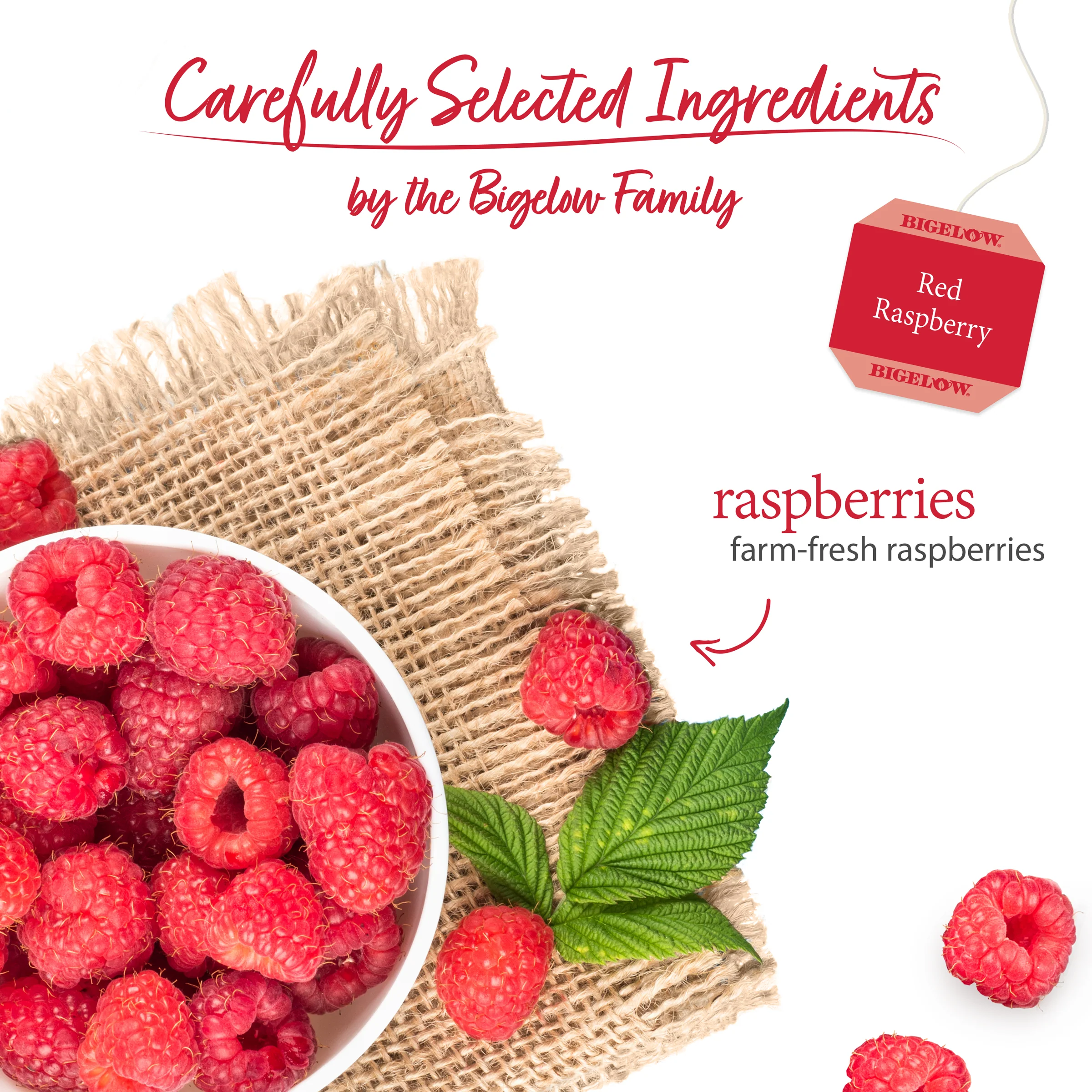 Red Raspberry Herbal Tea - Image 3