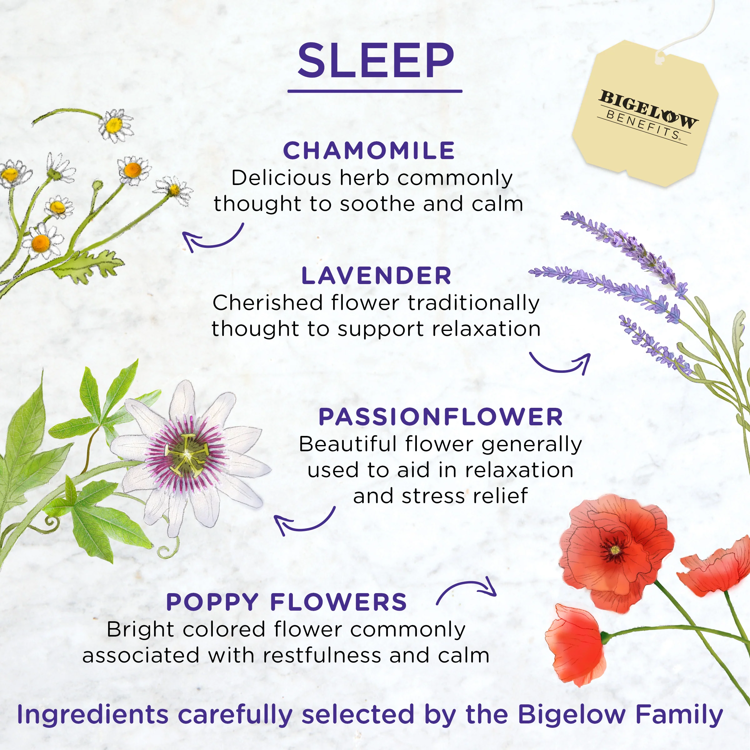 Sleep Chamomile and Lavender Herbal Tea - Image 3