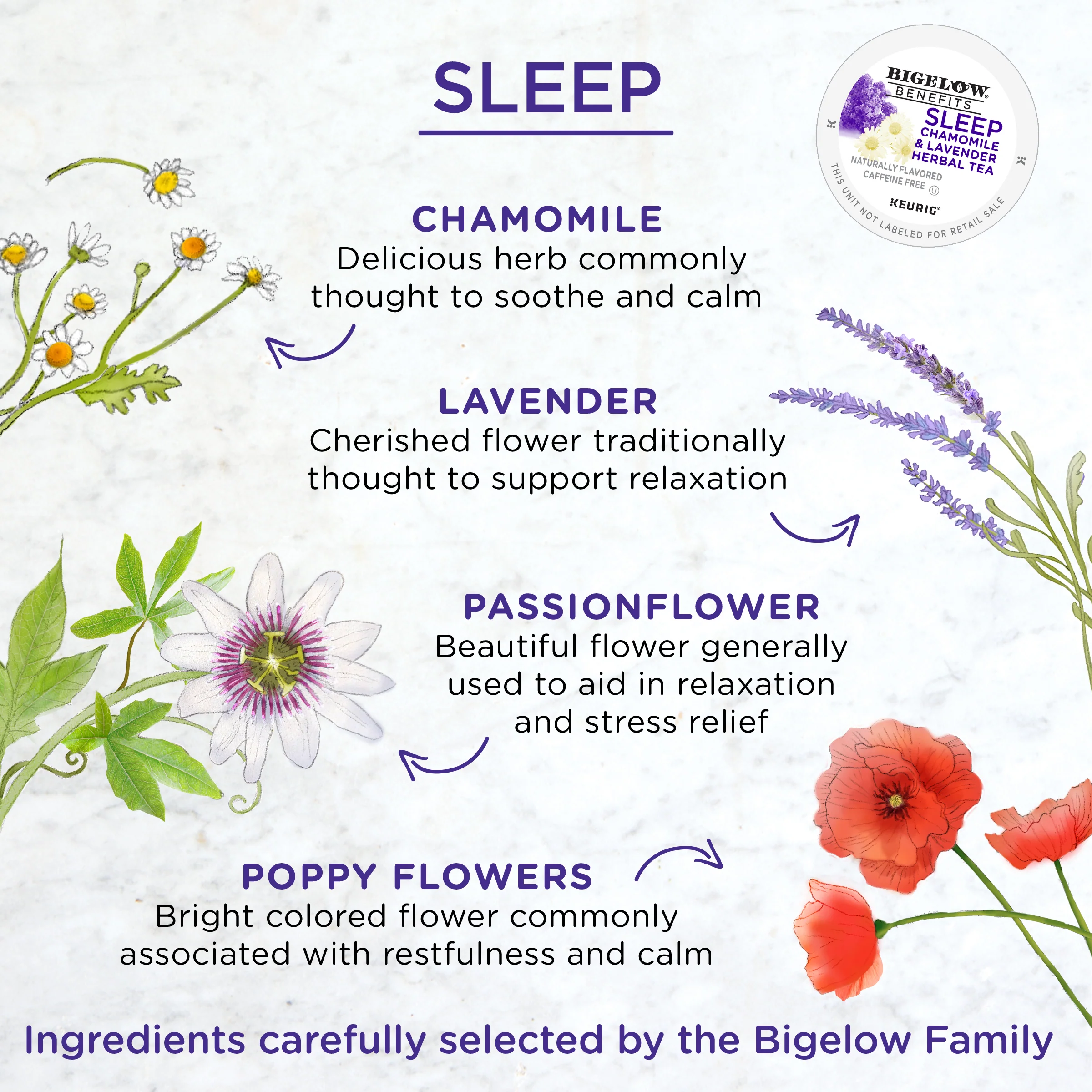 Sleep Chamomile and Lavender Herbal Tea K-Cup® Pods - Image 3