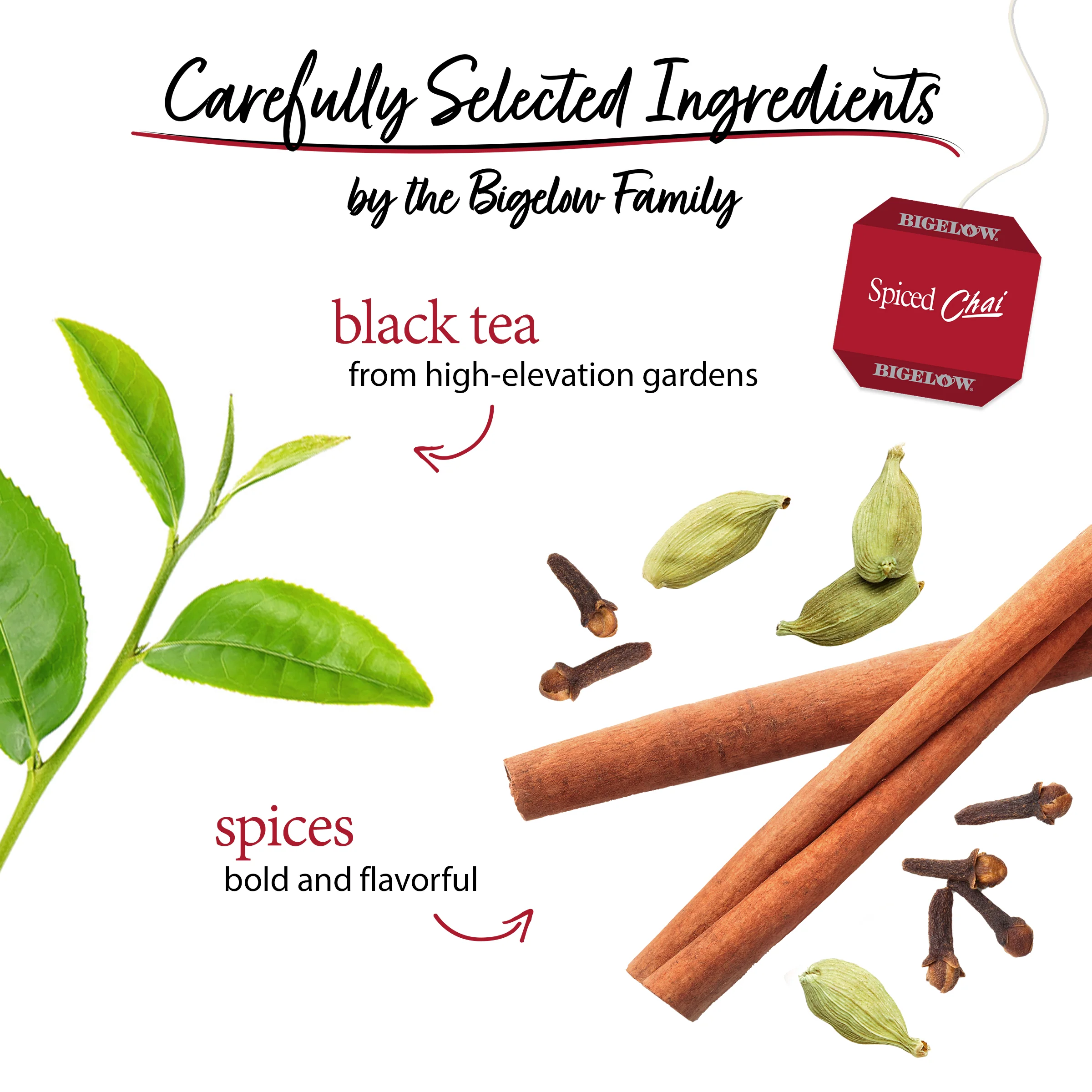 Spiced Chai Black Tea - Image 3