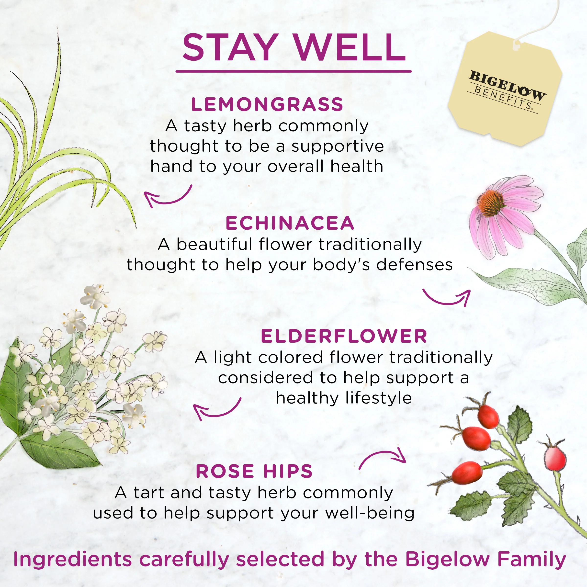 Stay Well Lemon and  Echinacea Herbal Tea - Image 3