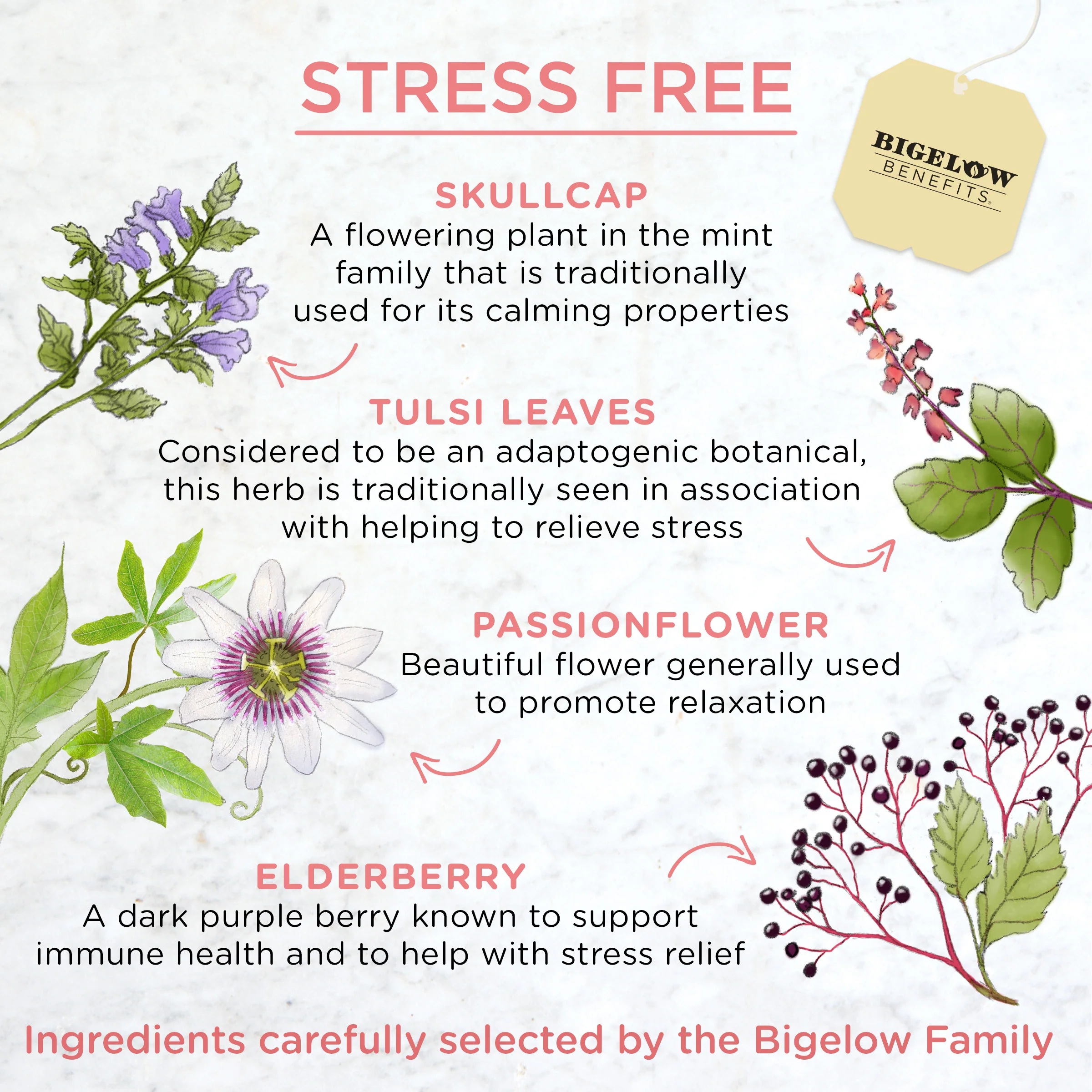 Stress Free Rose and Mint Herbal Tea - Image 3
