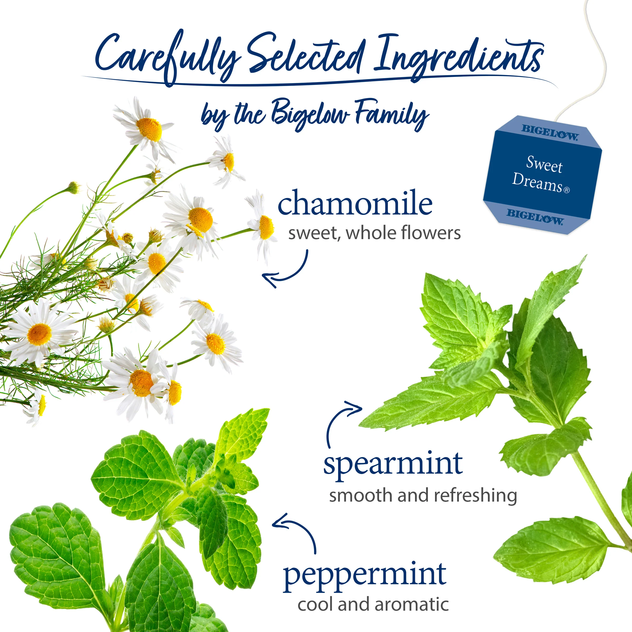 Sweet Dreams® Herbal Tea - Image 3