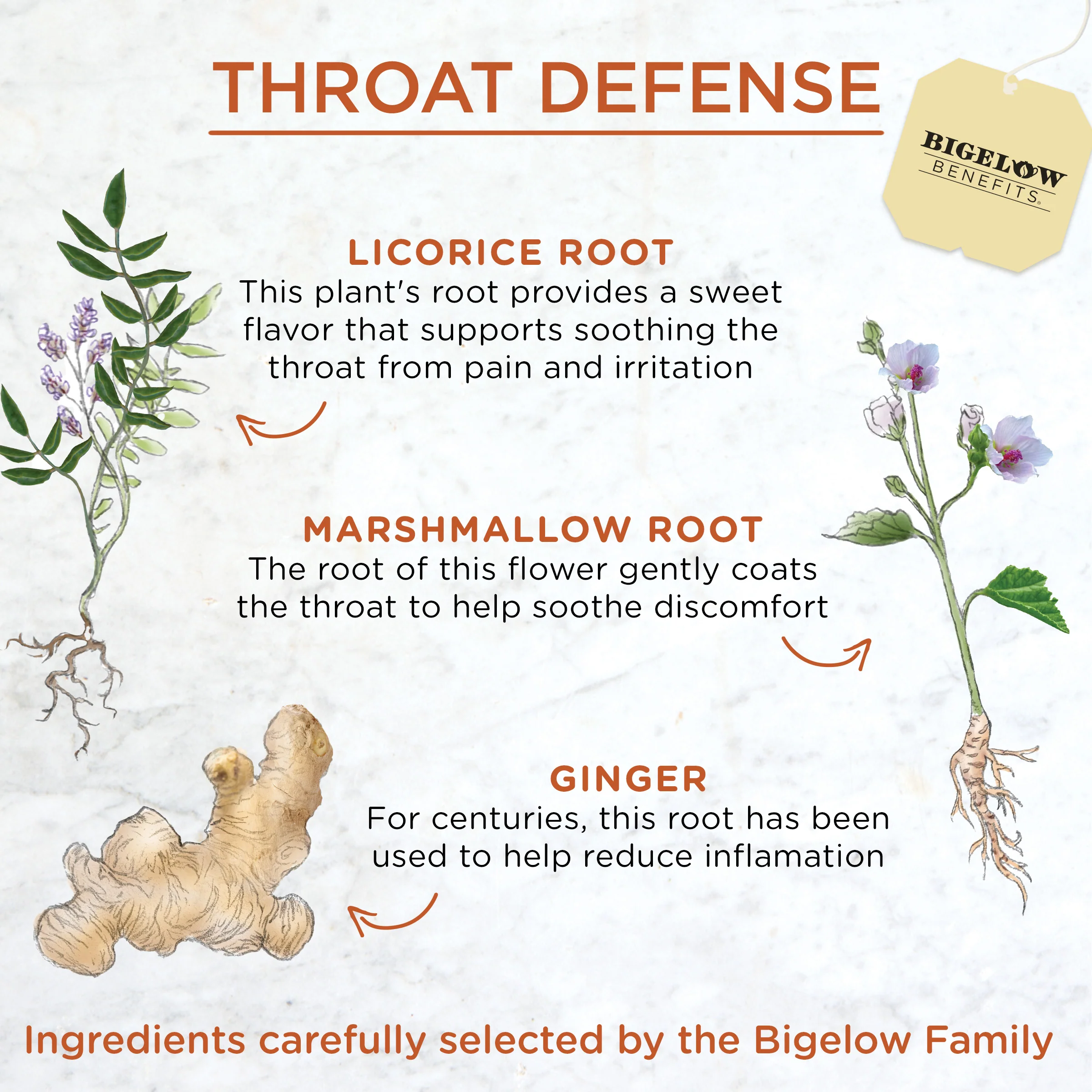 Throat Defense® Ginger Honey Lemon Herbal Tea - Image 3