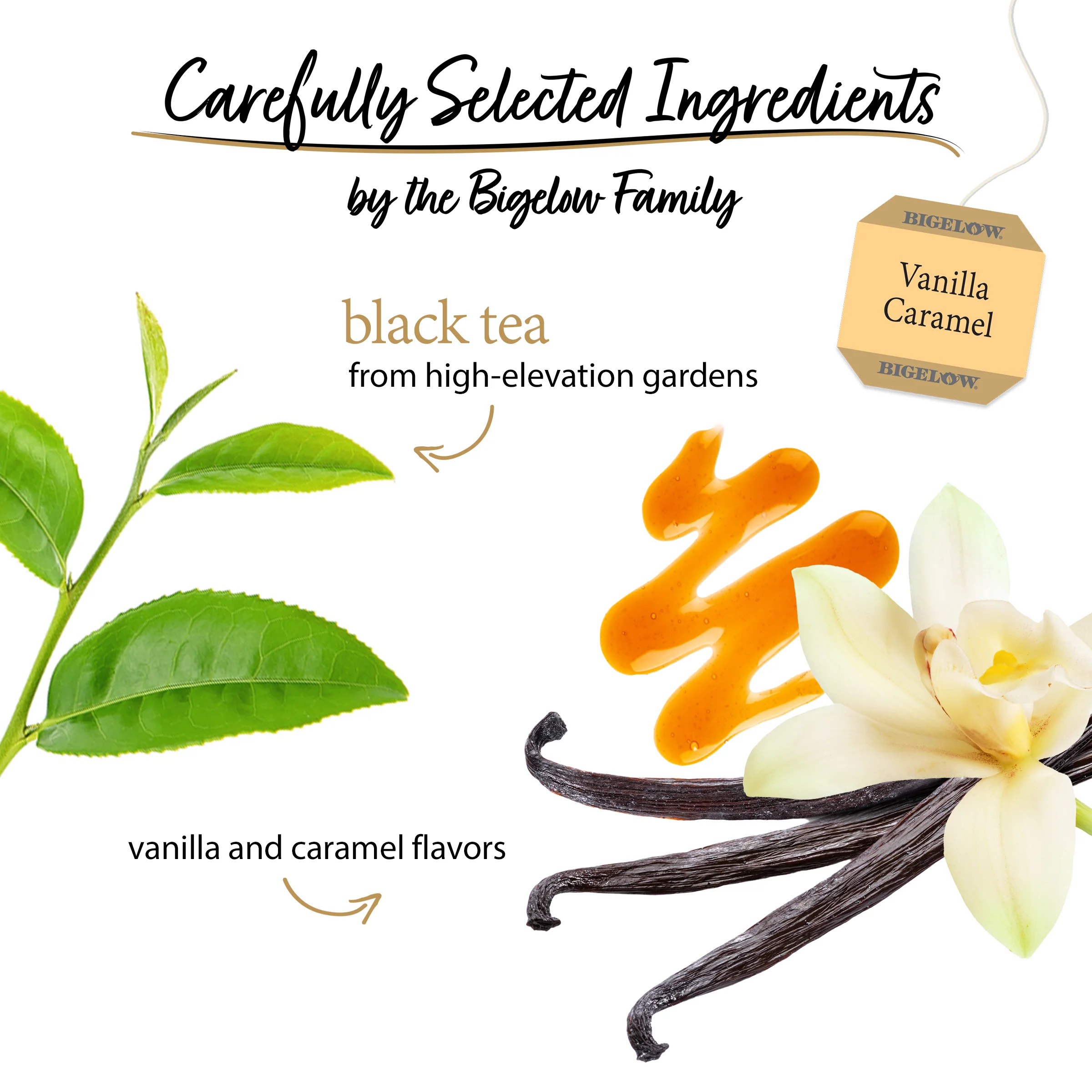 Vanilla Caramel Black Tea - Image 3