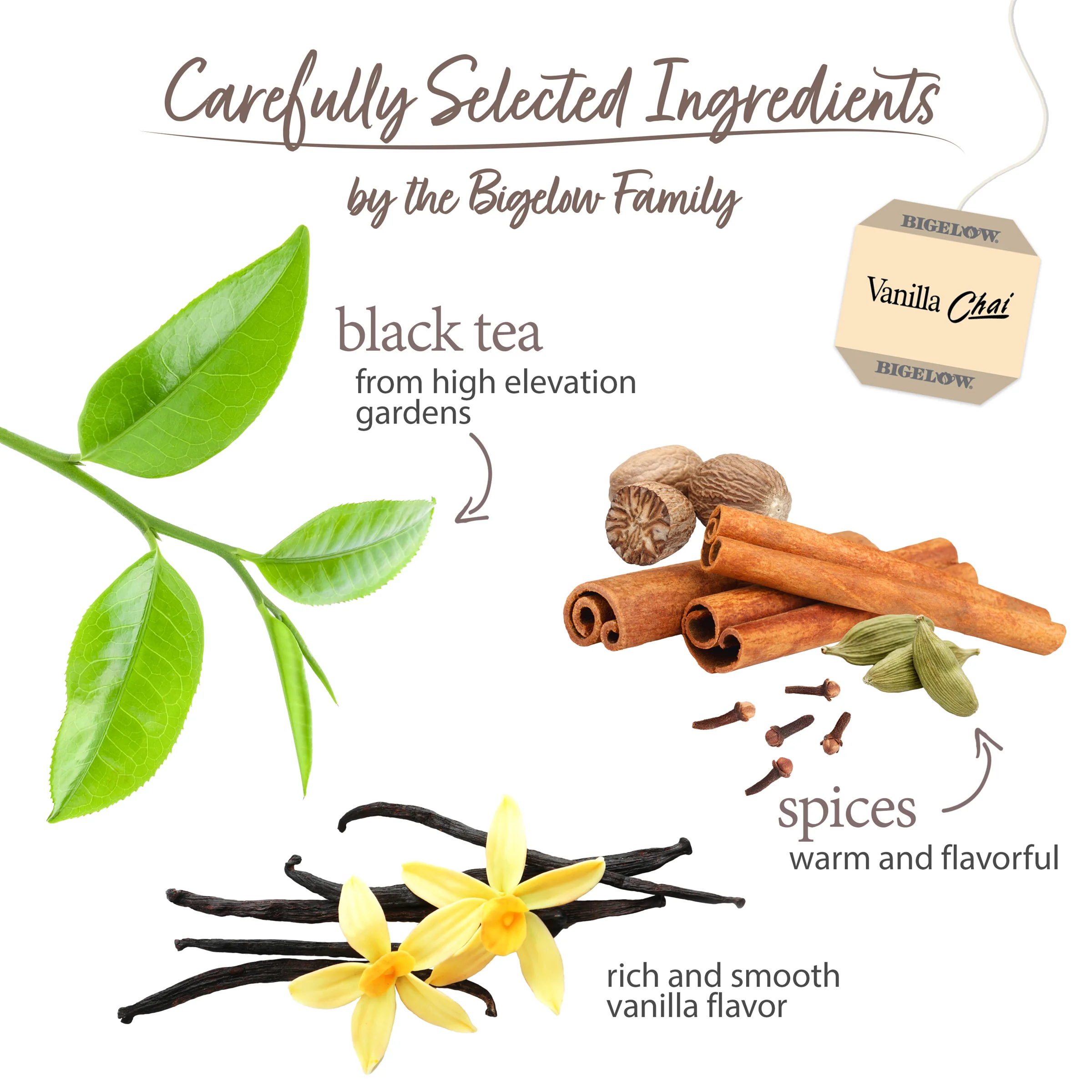 Vanilla Chai Black Tea - Image 3