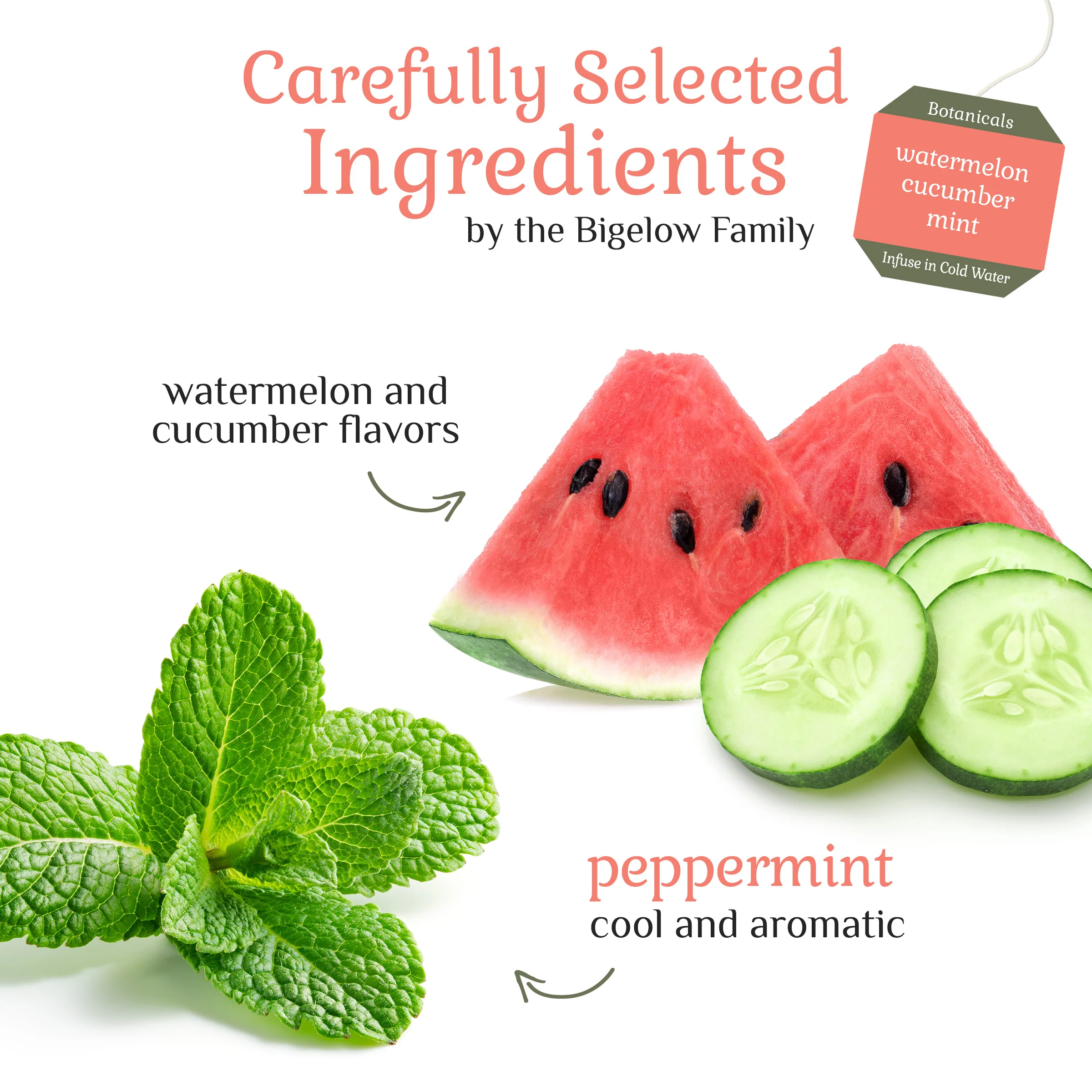 Watermelon Cucumber Mint Cold Water Infusion - Image 3