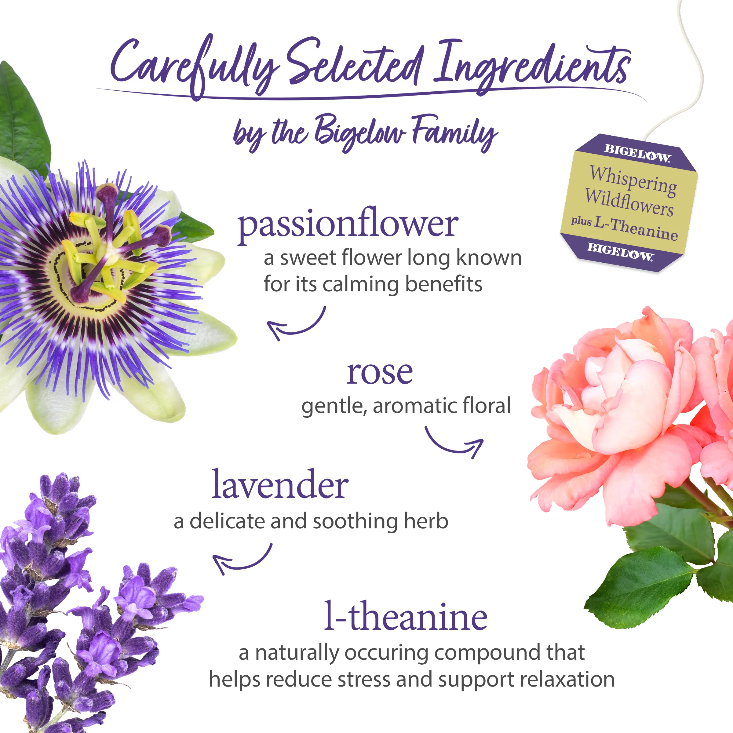 Whispering Wildflowers™ plus L-Theanine Herbal Tea - Image 3